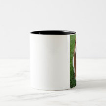 Taza torpe de Basset Hound