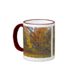 Taza ventosa del otoño