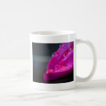 Tazas de la fotografía de Christy Patino
