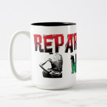 TAZAS DE LA PARTE POSTERIOR DEL ESCLAVO DE LAS REP