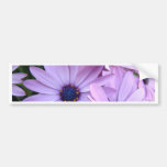 Tazas rosadas púrpuras de los regalos de las tarje pegatina de parachoque