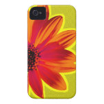 (TBA) floral Case-Mate iPhone 4 Coberturas