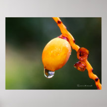 Tears_1 Poster