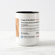 Tecnología de RHK - taza de café de sept. 2012 del
