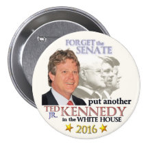 Ted Kennedy, Jr. para el presidente 2016 Pins