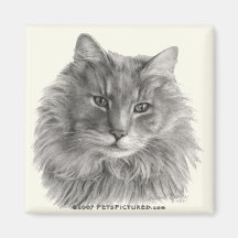 TeeGee, gato gris de pelo largo Imán