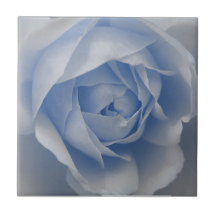 Teja color de rosa azul de la flor