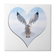 Teja de la gaviota del corazón