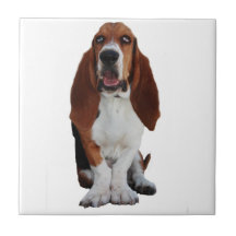 Teja de la imagen de Basset Hound