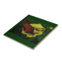 Teja de la mariposa de los mejores amigos