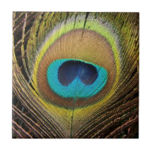 Teja de las plumas de pájaro del pavo real