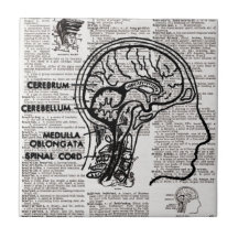Teja del arte del diccionario del cerebro