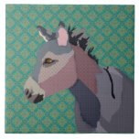 Teja del burro del gris
