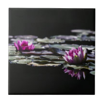 Teja del flor del lirio de agua