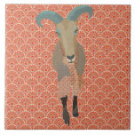 Teja del naranja del Aoudad