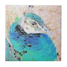 Teja del pájaro del pavo real