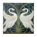 Teja del papel pintado del cisne y de la precipita