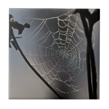 Teja fluorescente del Web de araña