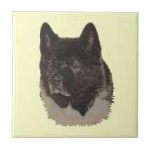 Teja japonesa/del americano de Akita del realista 