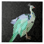 Teja negra del pavo real