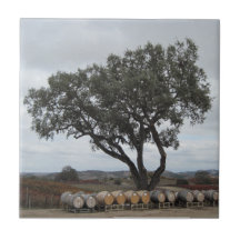Teja: Roble y barriles en el viñedo de Doce Robles