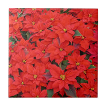 Teja roja de los Poinsettias