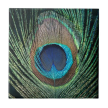 Teja verde oscuro de la pluma del pavo real