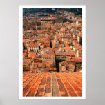 Tejados rojos de la teja posters