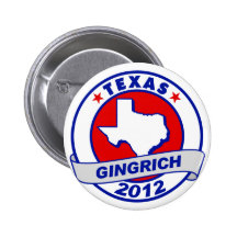 Tejas Newt Gingrich Pins