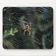 Tejedor occidental Mousepad del orbe Alfombrillas De Ratón