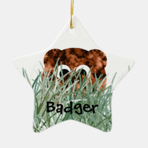 Tejón en la hierba ornaments para arbol de navidad