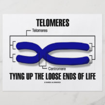 Telomeres que ata encima de finales flojos de la v tarjetas publicitarias