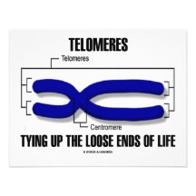Telomeres que ata encima de finales flojos de la v comunicados personalizados