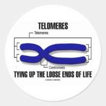 Telomeres que ata encima de finales flojos de la v etiqueta