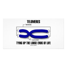 Telomeres que ata encima de finales flojos de la v tarjeta fotografica personalizada