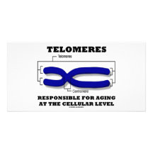 Telomeres responsable del envejecer en el nivel ce tarjeta fotografica  