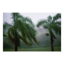 Tempestad del St. Croix Impresiones Fotograficas