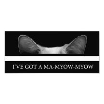 Tengo A MA-Myow-Myow Fotografia
