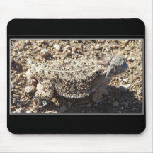 Tengo esto como postal y fijación como mousepad