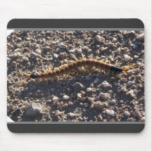 Tengo esto como postal y fijación como mousepad tapetes de ratones