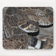 Tengo esto como postal y fijación como mousepad alfombrilla de ratón