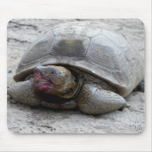 Tengo esto como postal y fijación como mousepad alfombrilla de ratón