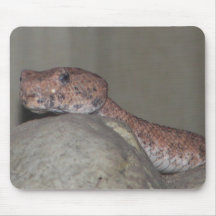 Tengo esto como postal y fijación como mousepad alfombrilla de ratón