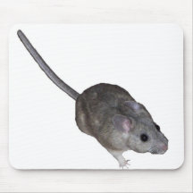 Tengo esto como postal y fijación como mousepad alfombrillas de ratón