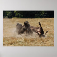 Tengo un picor… posters
