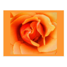 Terapia-Naranja 3 del Postal-Color