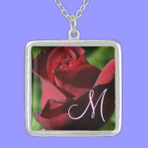 Terciopelo rojo elegante subió collares
