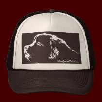 Terranova capsula el regalo de los gorras del aman gorras