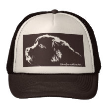 Terranova capsula el regalo de los gorras del aman