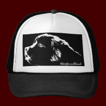 Terranova capsula los gorras personalizados los ca gorras